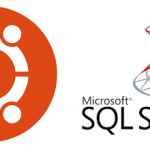 Ubuntu 上で Bash を利用した SQL Server との連携